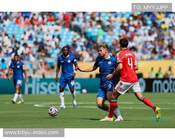 英超激战:那不勒斯凭乌龙球险胜本菲卡全场沸腾 英超激战:那不勒斯凭乌龙球险胜本菲卡全场沸腾